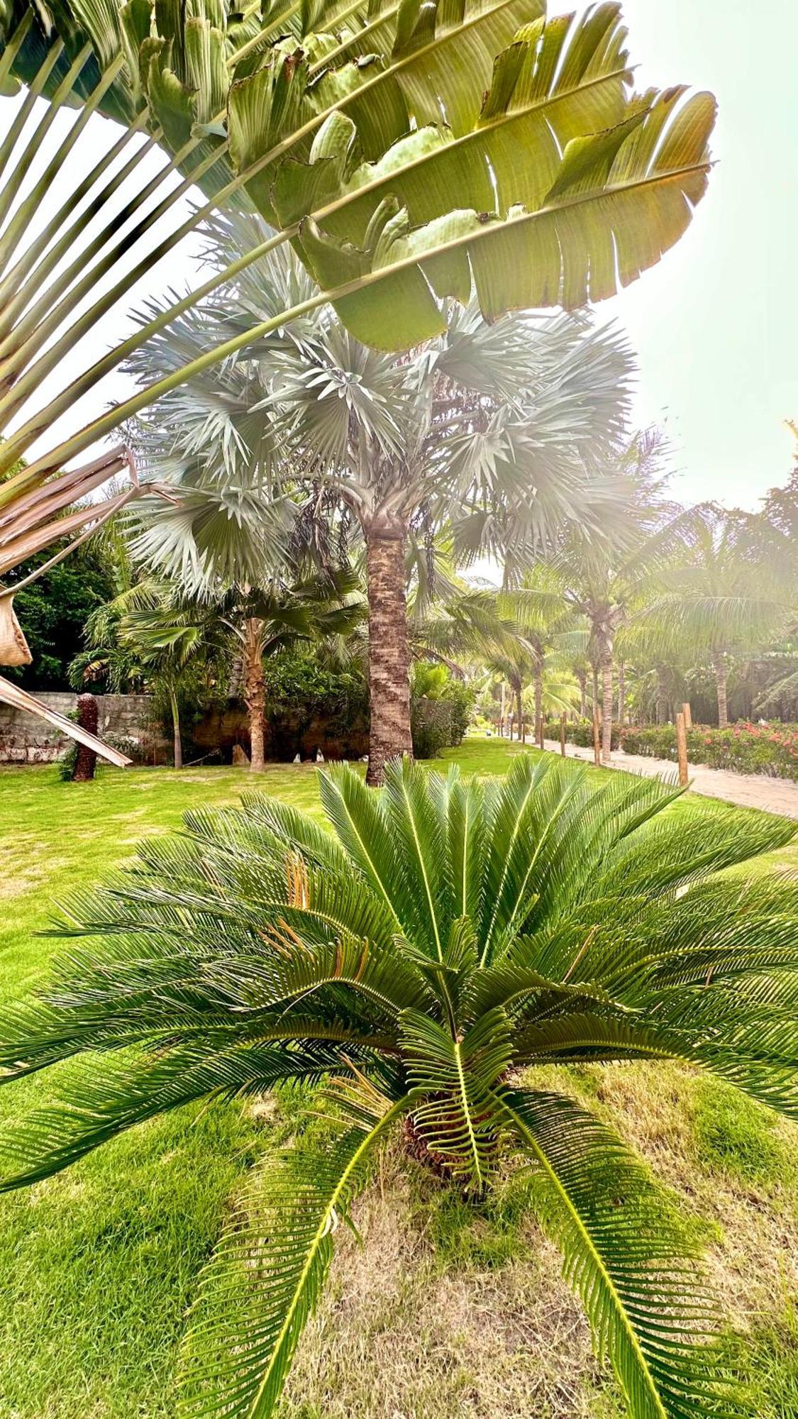 Villa Jaguar 福廷 外观 照片